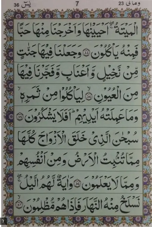 Surah Yaseen PDF - Read Online 2025 7 surah yaseen ayat 33-37